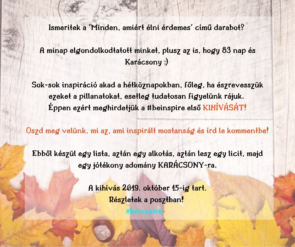 Read more about the article beINSPIRE – Kihívás